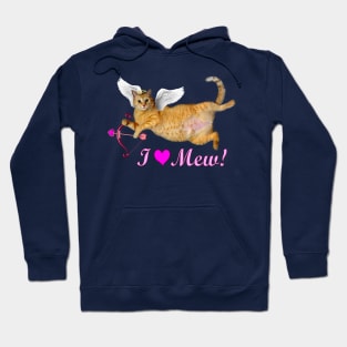 I Love Cat Hoodie